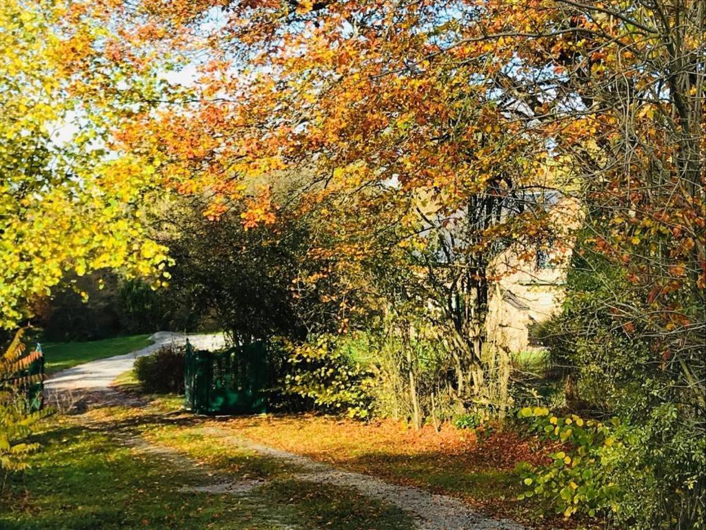 Lovely Meadow House In The Land Of Croix Scaille Gedinne المظهر الخارجي الصورة
