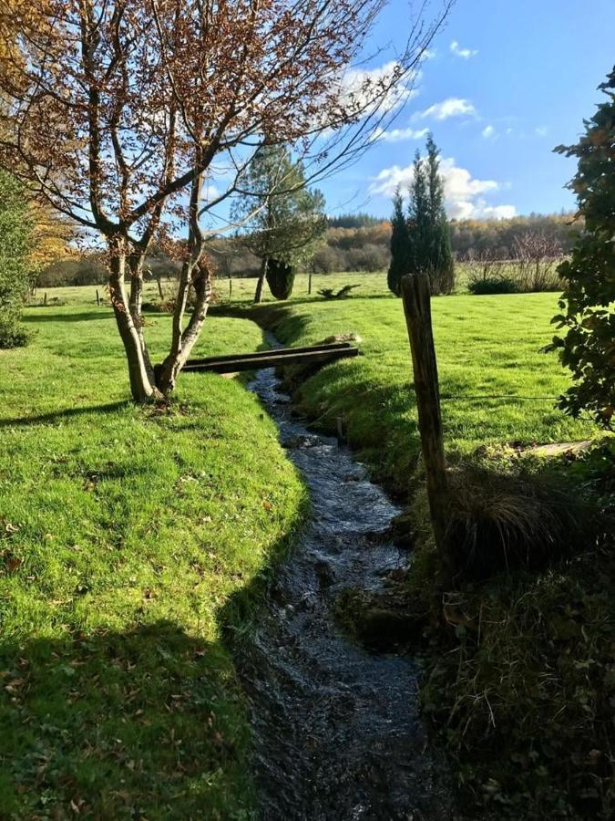 Lovely Meadow House In The Land Of Croix Scaille Gedinne المظهر الخارجي الصورة