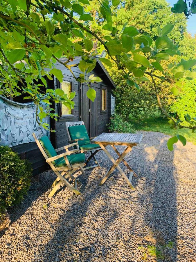 Lovely Meadow House In The Land Of Croix Scaille Gedinne المظهر الخارجي الصورة